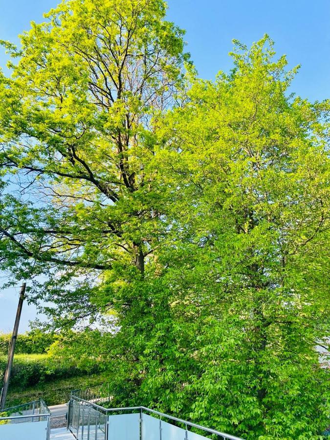 Ferienwohnung Waldblick Kaufungen Экстерьер фото